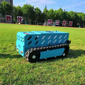 AI UGV Spraying Robot